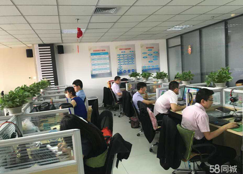 內蒙古小行家信息技術咨詢