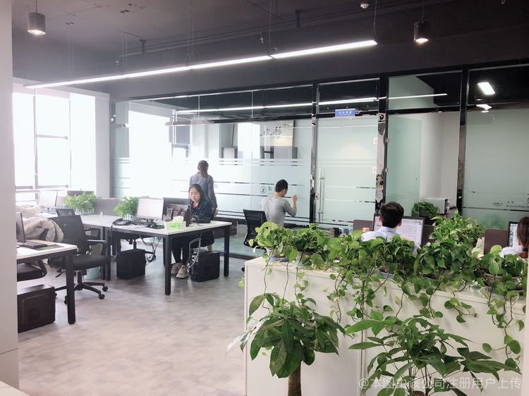甘肅科德信息技術咨詢