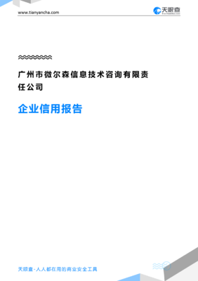 廣州市微爾森信息技術(shù)咨詢有限責(zé)任公司(企業(yè)信用報(bào)告)- 天眼查